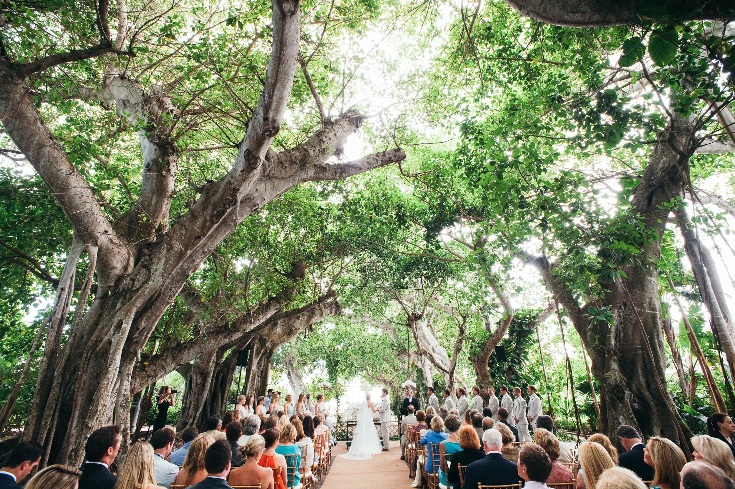 Barefoot bride beneath the banyan tree on Banyan Street, Boca Grande